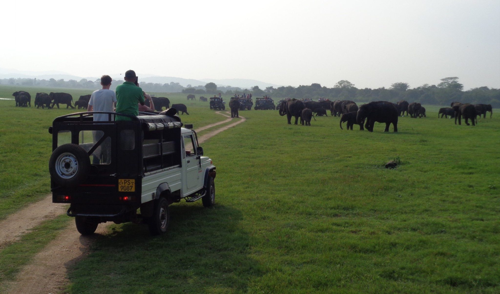 Gallery – Minneriya Safari Tours