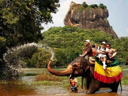 srilanka-Elephant