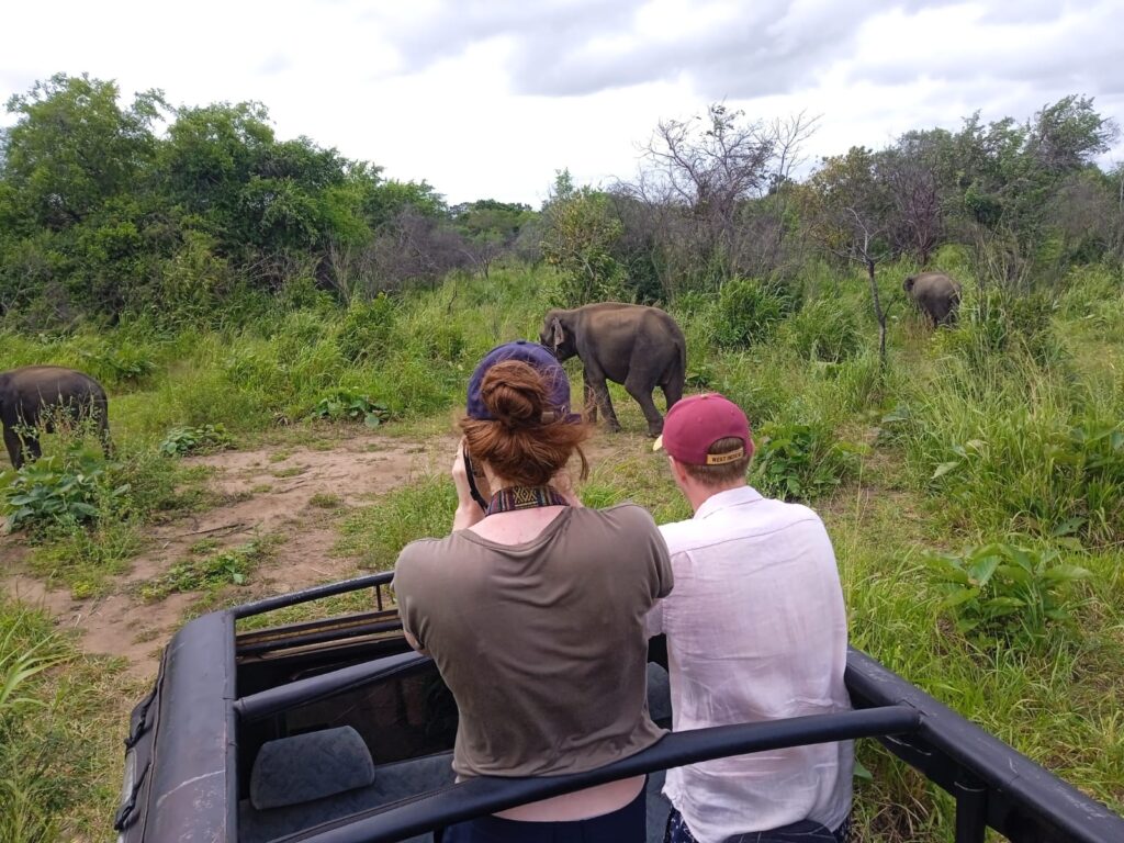 Hurulu Park Half Day Safari | Habarana Halfday Safari