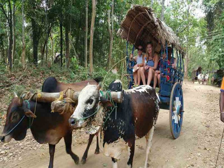 Sigiriya Village Tour – Minneriya Safari Tours