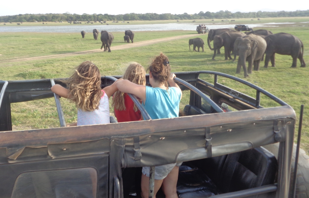 kaudulla-safari-tour-1.jpg