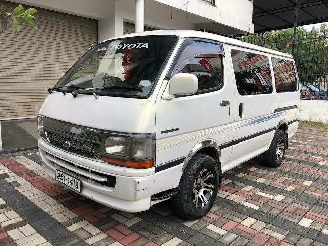 dolphin van